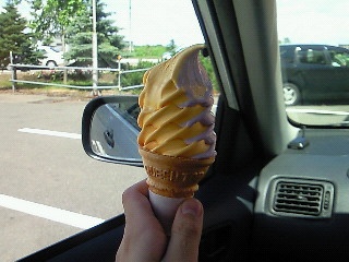 yoshi819